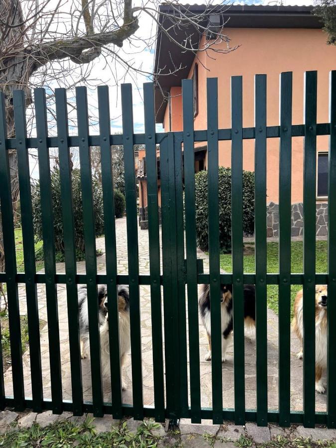 Apartament Loc.Cioccaie Grosseto Zewnętrze zdjęcie